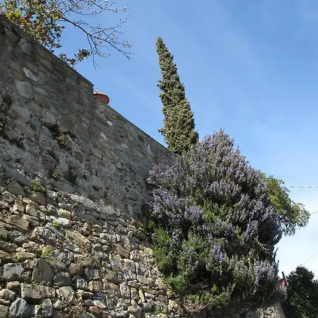 Caratteristico *